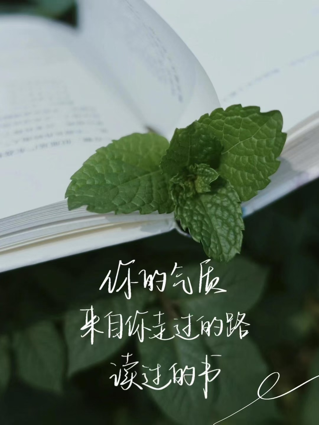 先努力优秀再大方拥有 ​​​