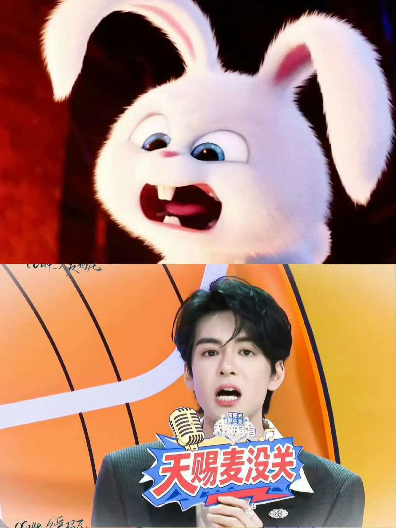 曾舜晞  你不狗谁狗，宝宝你是纯正小狗，也小小支持一下我们新晋兔叽塑曾舜晞蔺承佑