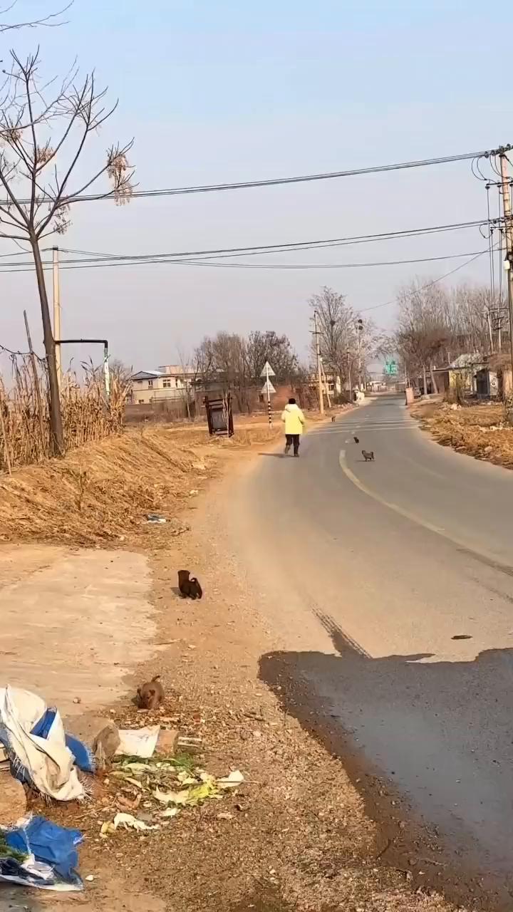 这波操作都看傻了。