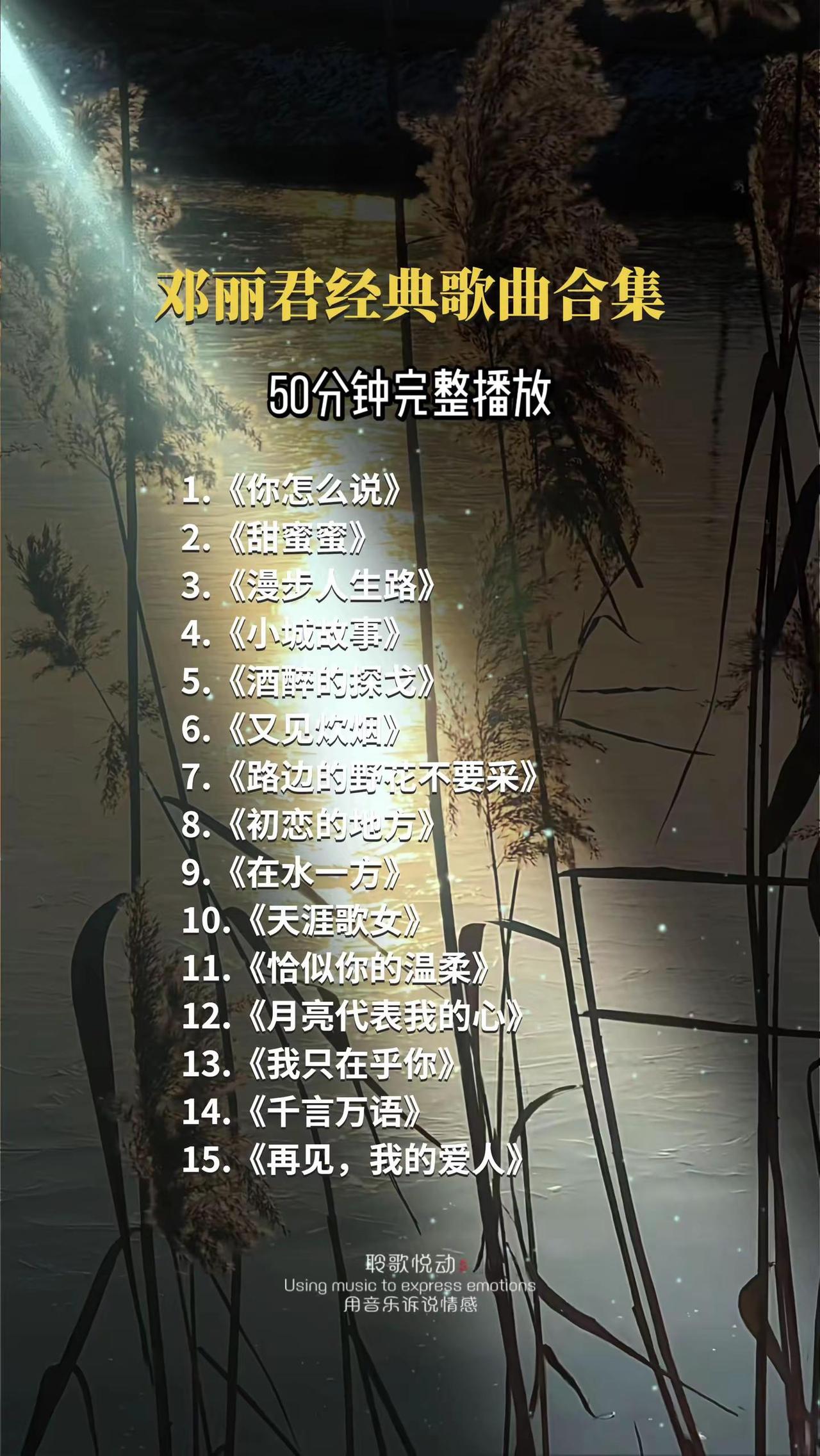 1.《你怎么说》2.《甜蜜蜜》3.《漫步人生路》4.《小城故事》5.《酒醉的探戈
