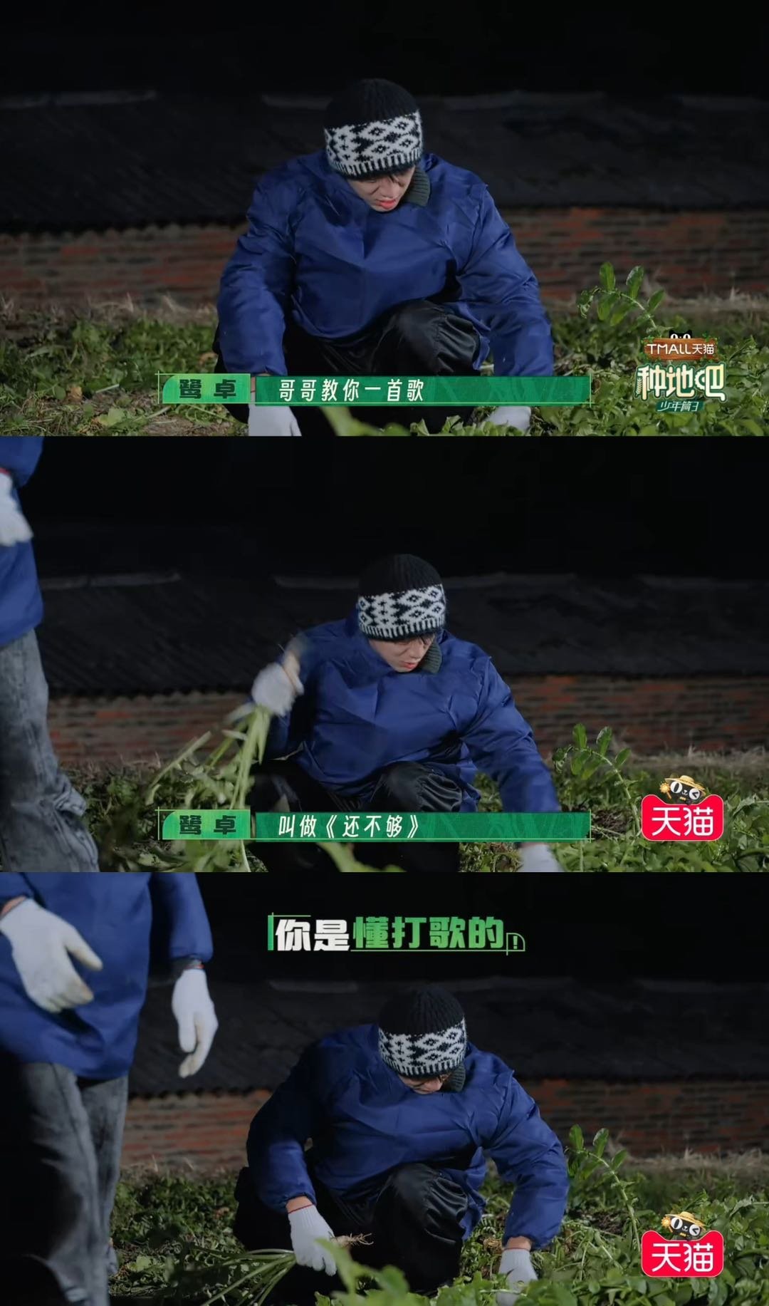 鹭卓边拔猪草边打歌 鹭卓拔猪草时那叫一个投入又有趣。他轻松打着天津快板，欢快唱着