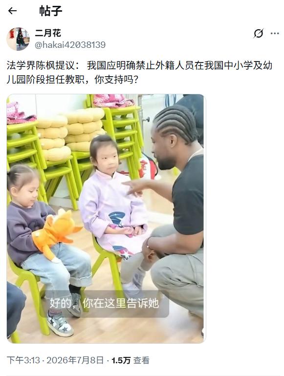陈枫的“一刀切禁止”提议过于极端，我不认同。

合法合规的外籍幼教，应当允许存在