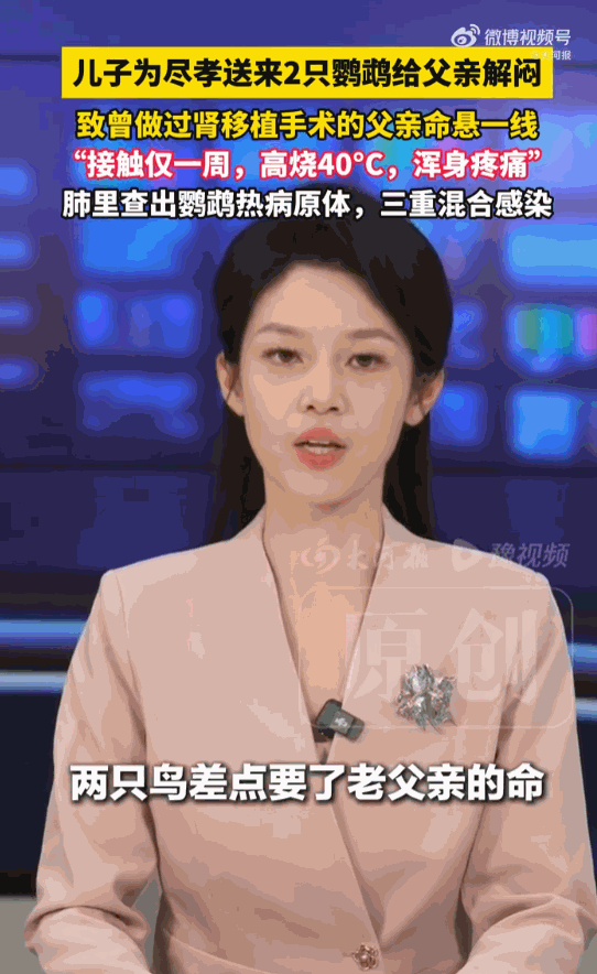 好心办坏事！河南郑州，一男子为了给父亲解闷，特意买了件“小玩意”。不料好心酿成了