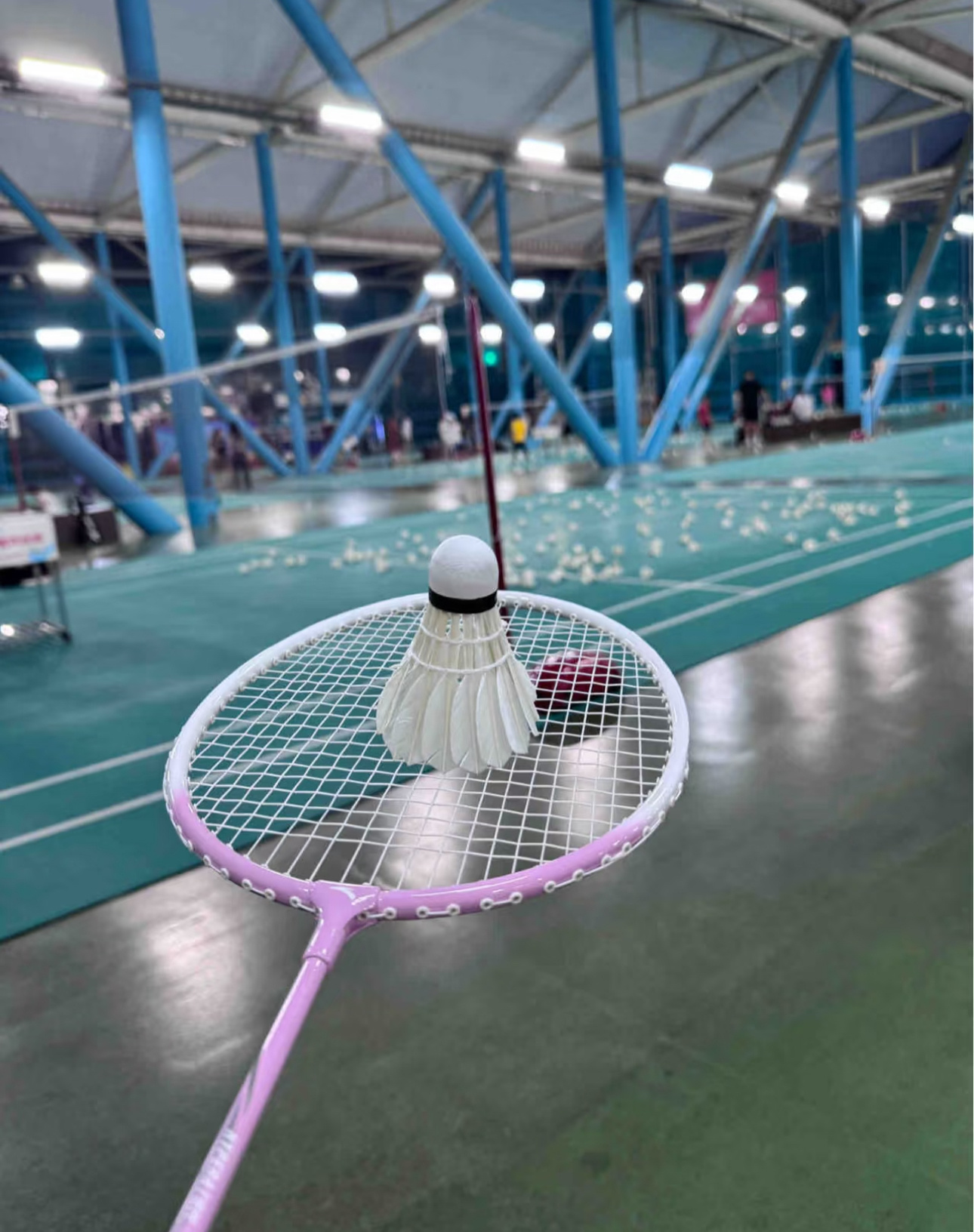 秋天是好好出去走走的季节🍂