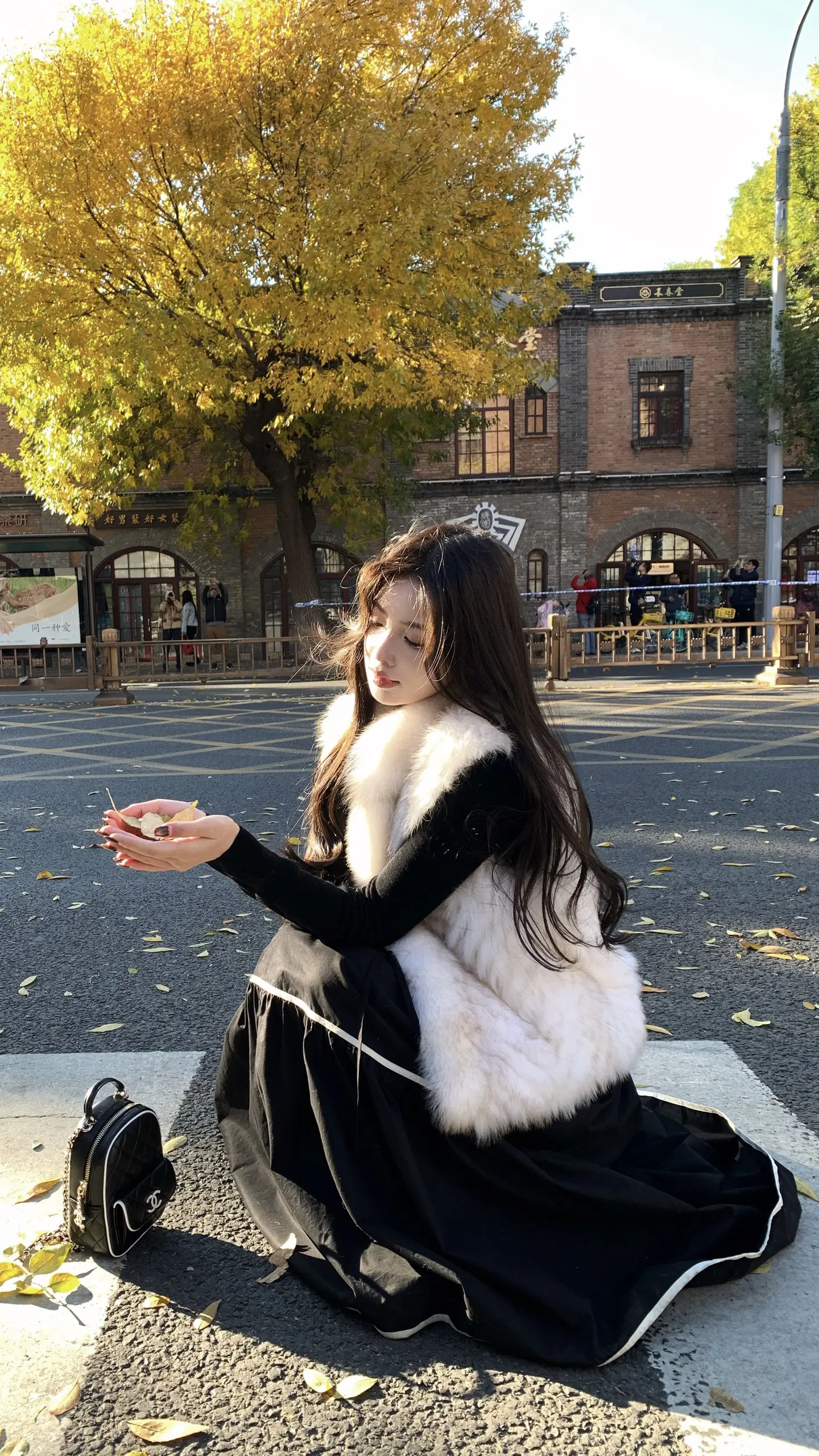 北平的秋🍂。