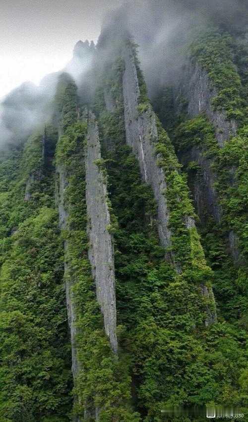 我的创意上联可以是：
1、常青翠柏霜凝碧‌[碰拳]不老苍松雪白头。
2、巍峨峻岭