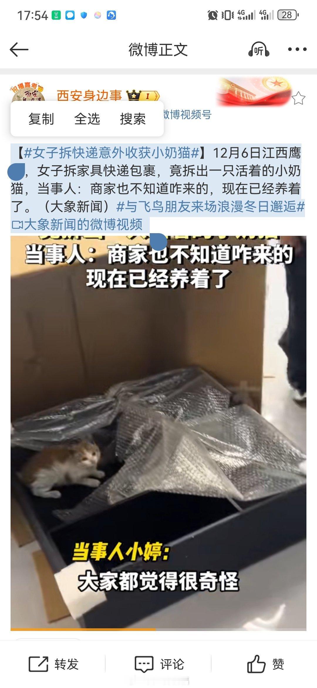 女子拆快递意外收获小奶猫 看到了是大橘  