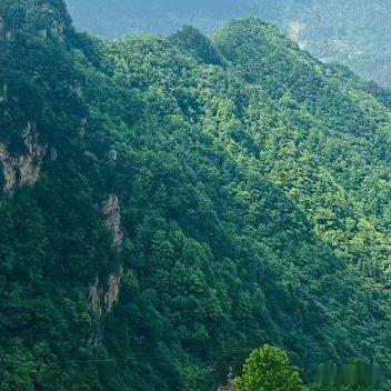 扛着相机爬过山坡，看过日落，今夜要枕着柔软入眠。 