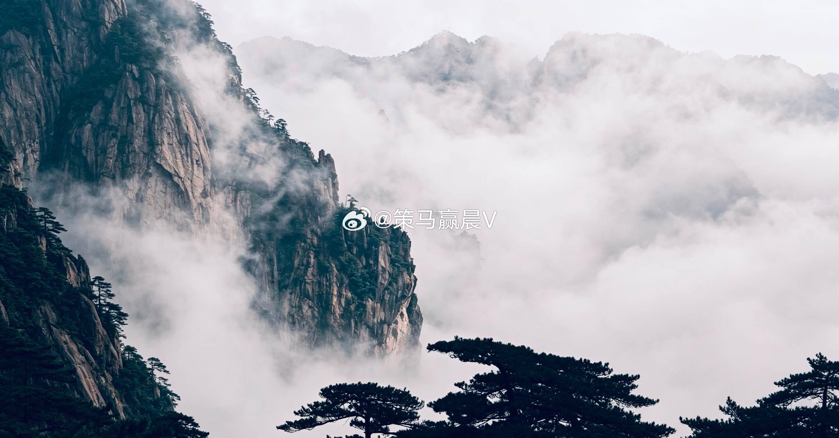 周四三大指数涨跌不一，创业板指、深成指震荡反弹，科创50指数大涨3.84%，中际