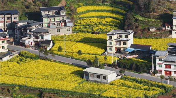 读《近思录》之3.49　

伊川先生《易传序》曰：易，变易也，随时变易以从道也。