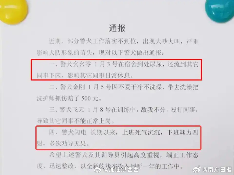 警犬被通报批评小狗不爱上班又有什么错呢？闪电下班魅力四射是要干啥，过夜生活吗哈哈