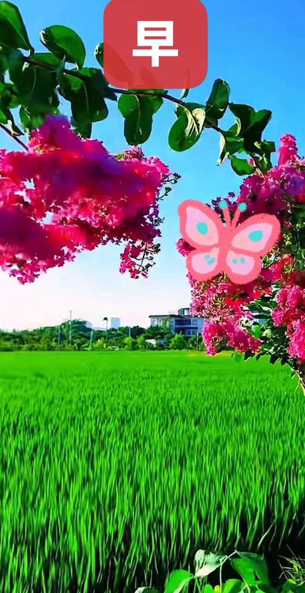 早上好含Al内容