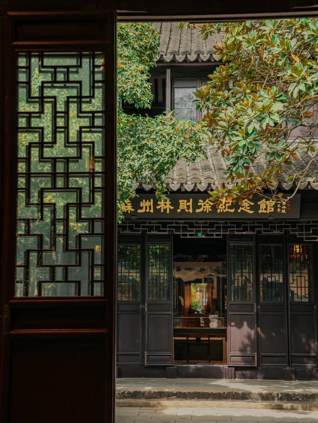 99%不知道的免费园林，120岁老桂开花‼️