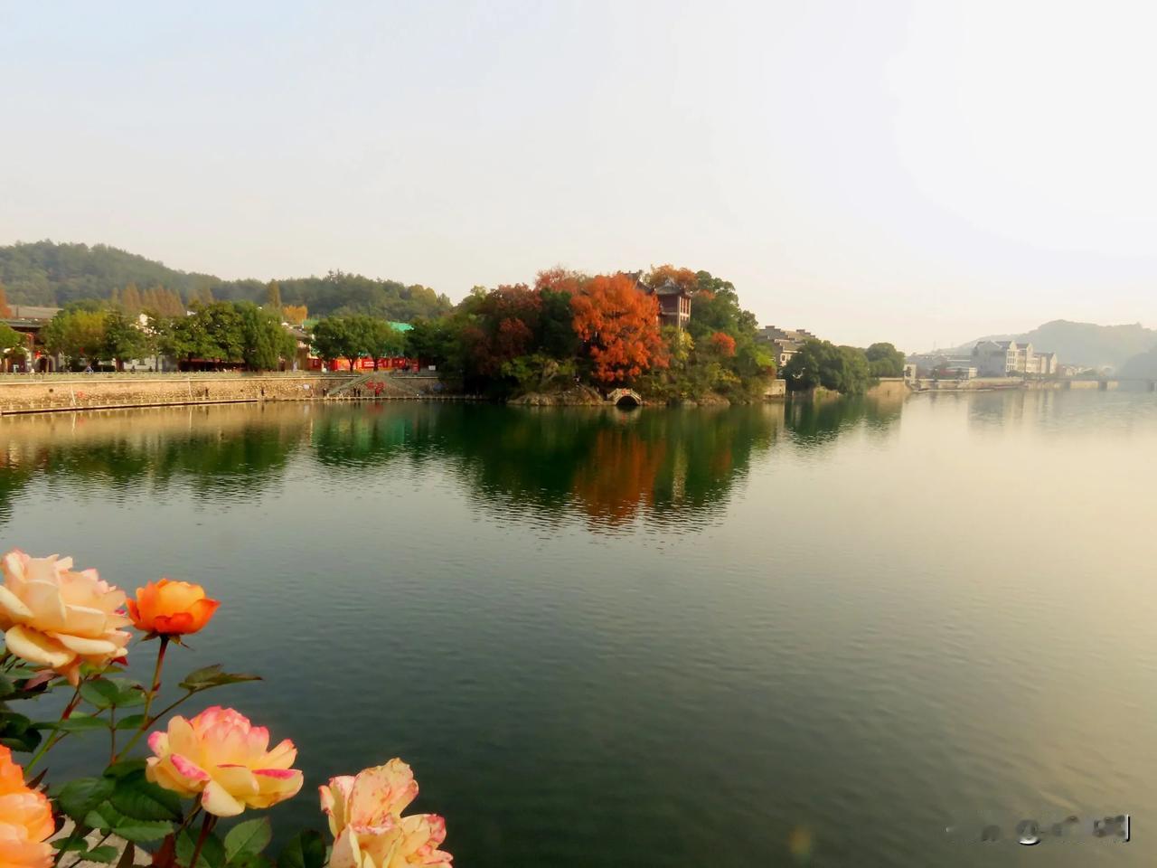 冬日河畔，静谧如画，红叶点缀，美景尽收眼底。🍁🌸溪口