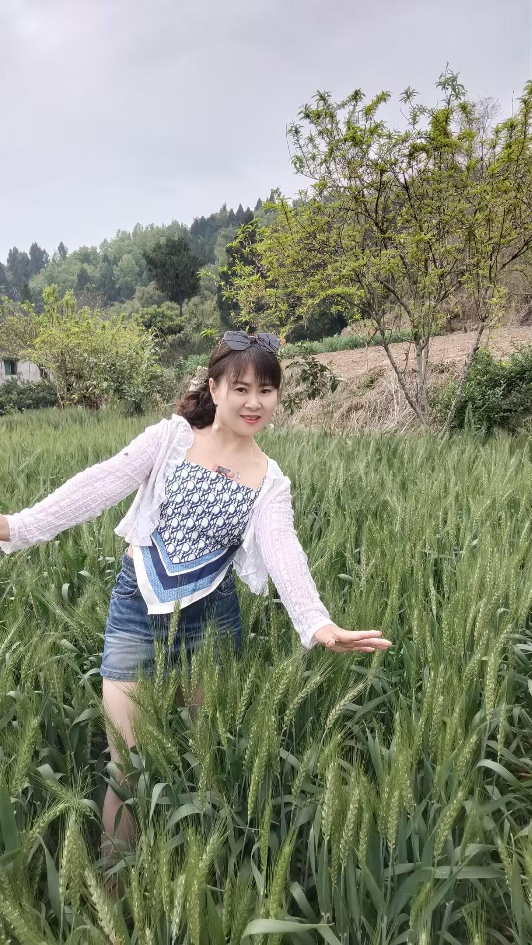 遇添堵的人就让一让，遇添堵的事就放一放，人间就来这一趟，何必执着满身是伤