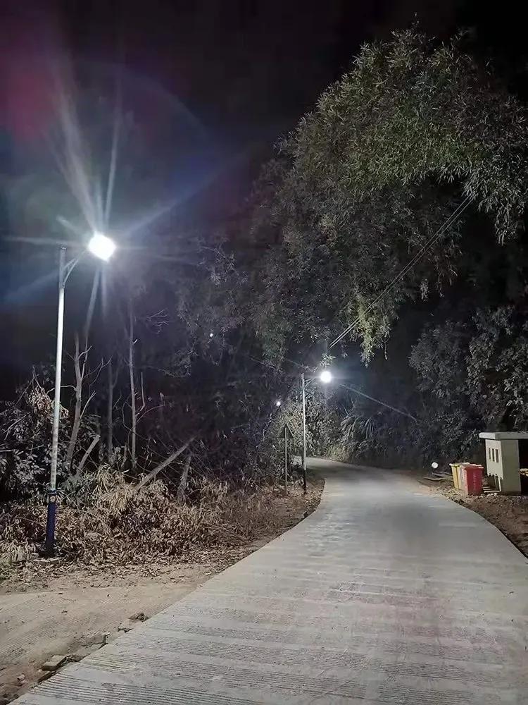 #出门去踏秋#在夜幕低垂之时悠然漫步，柔和的灯光轻轻洒落，与路旁五彩斑斓的花草树