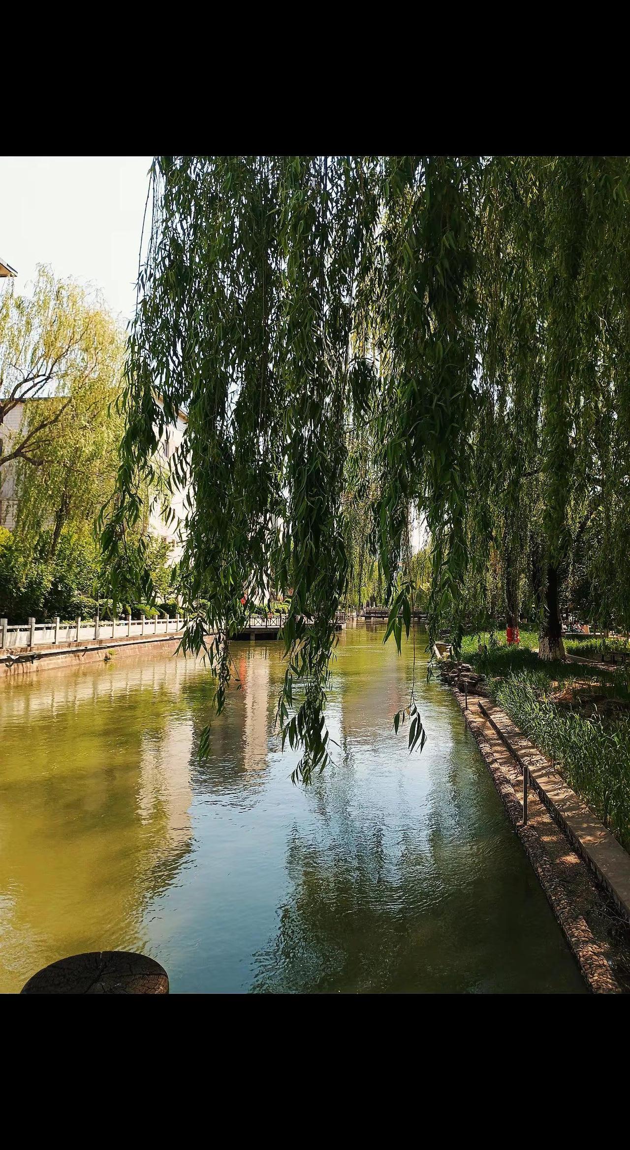 晨跑打卡…
