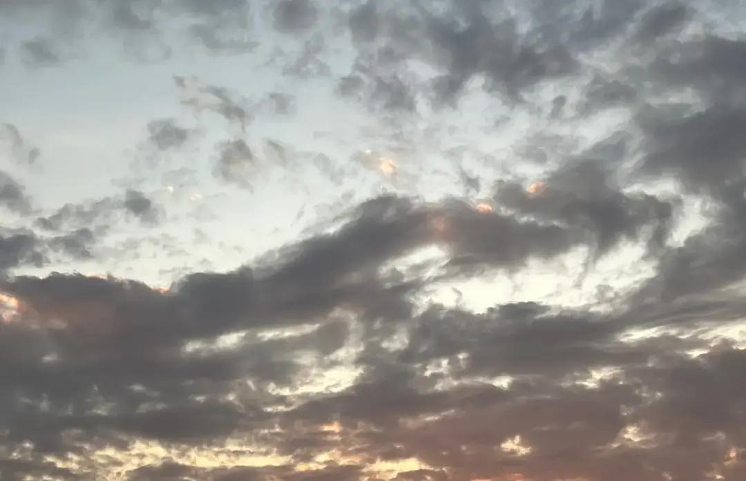 七个习惯被专家盖章，我看完只想说一句话：别再把懒甩给基因。
世卫把抗阻训练写进指