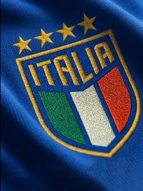 蓝衣军团再次倒下，作为80后球迷我们这一代对意大利有着难以描述的情愫。本人第一次