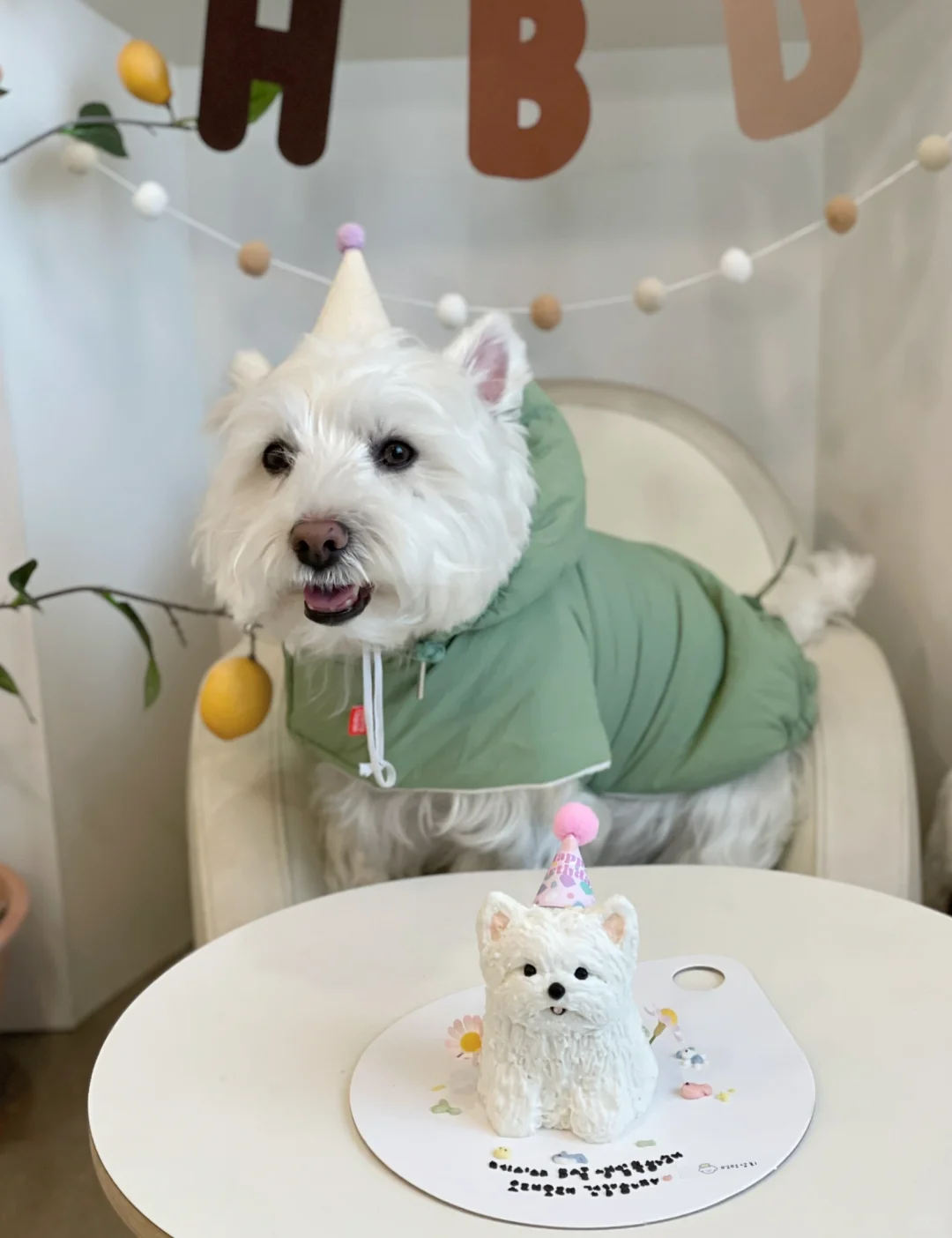 5️⃣ 岁啦～ 🎊🎂