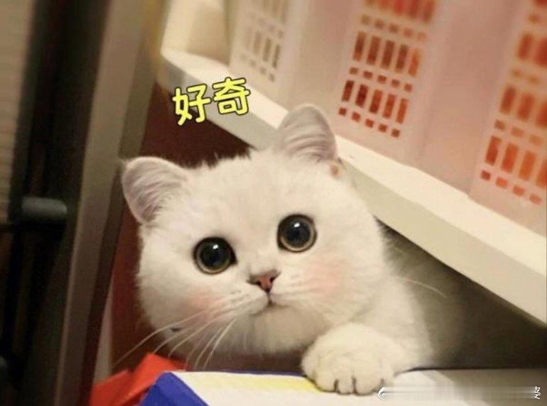 赵本山近况长江以南的朋友也会想念本山大叔么？纯好奇 