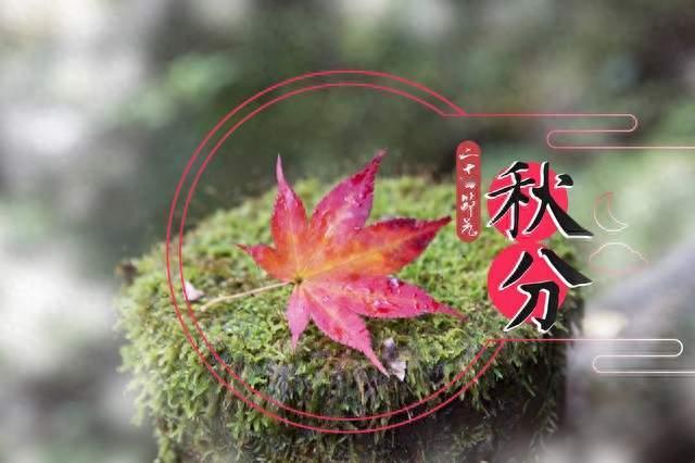 秋分不养，秋冬遭殃！民间流传的秋分习俗，很多人还不知道