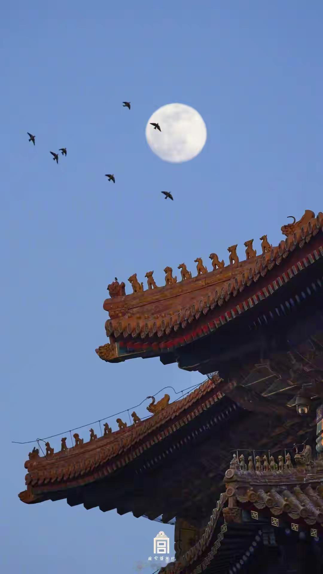 水调歌头·明月几时有
 
宋    苏轼
 
丙辰中秋，欢饮达旦，大醉，作此篇，