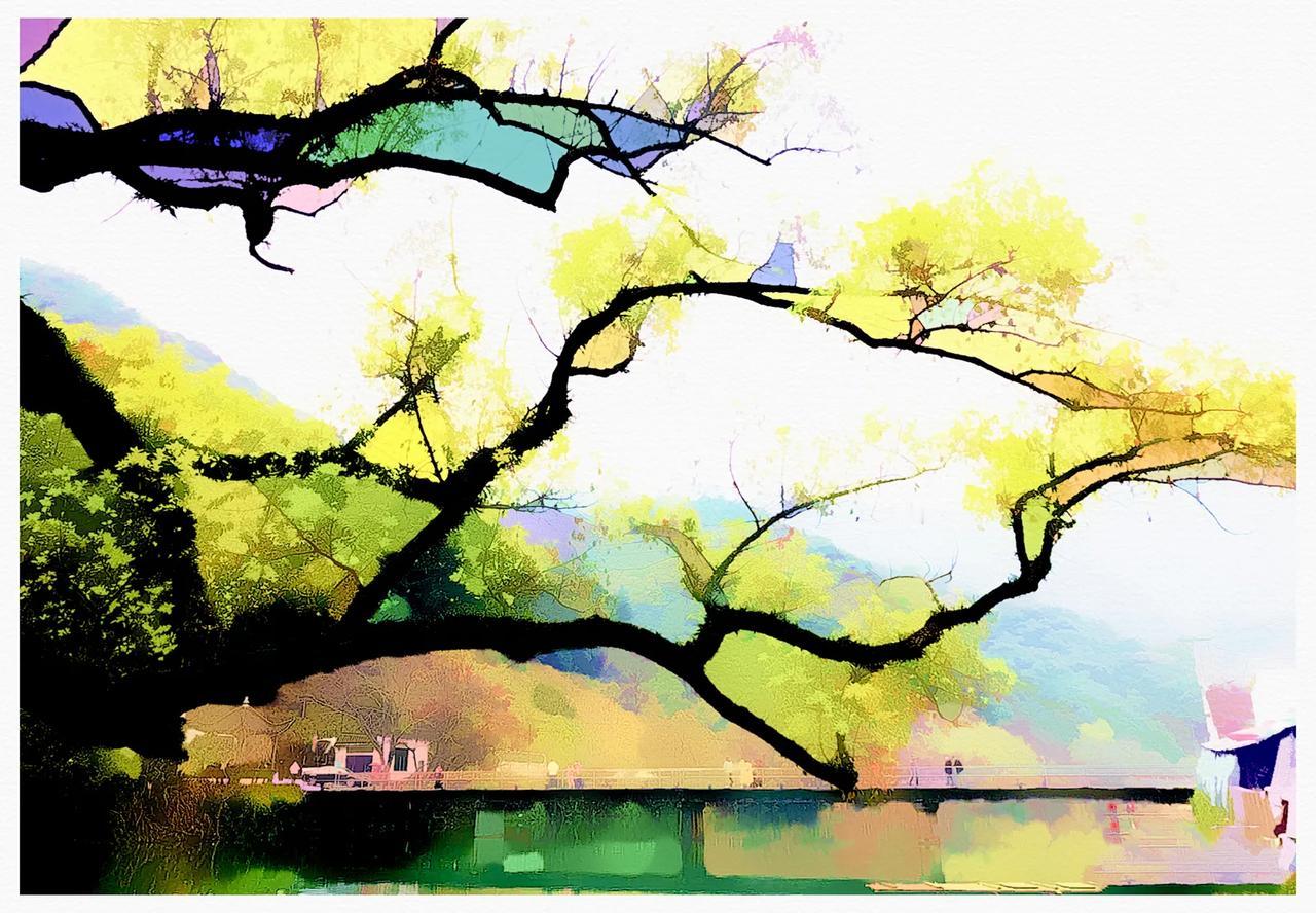 《如烟梦》
晨光沿着街区上升时，恍惚听见那年的跫音在回廊间簌簌低语。这时节春樱正