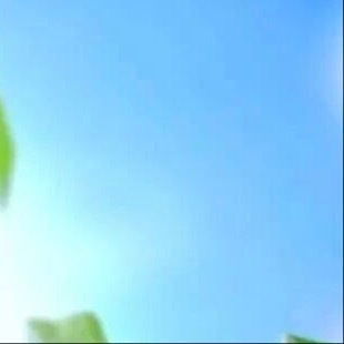 阳光信用  💫阳光信用  💫每日一善善良的心肠比美丽的外衣更加重要，纯洁的灵
