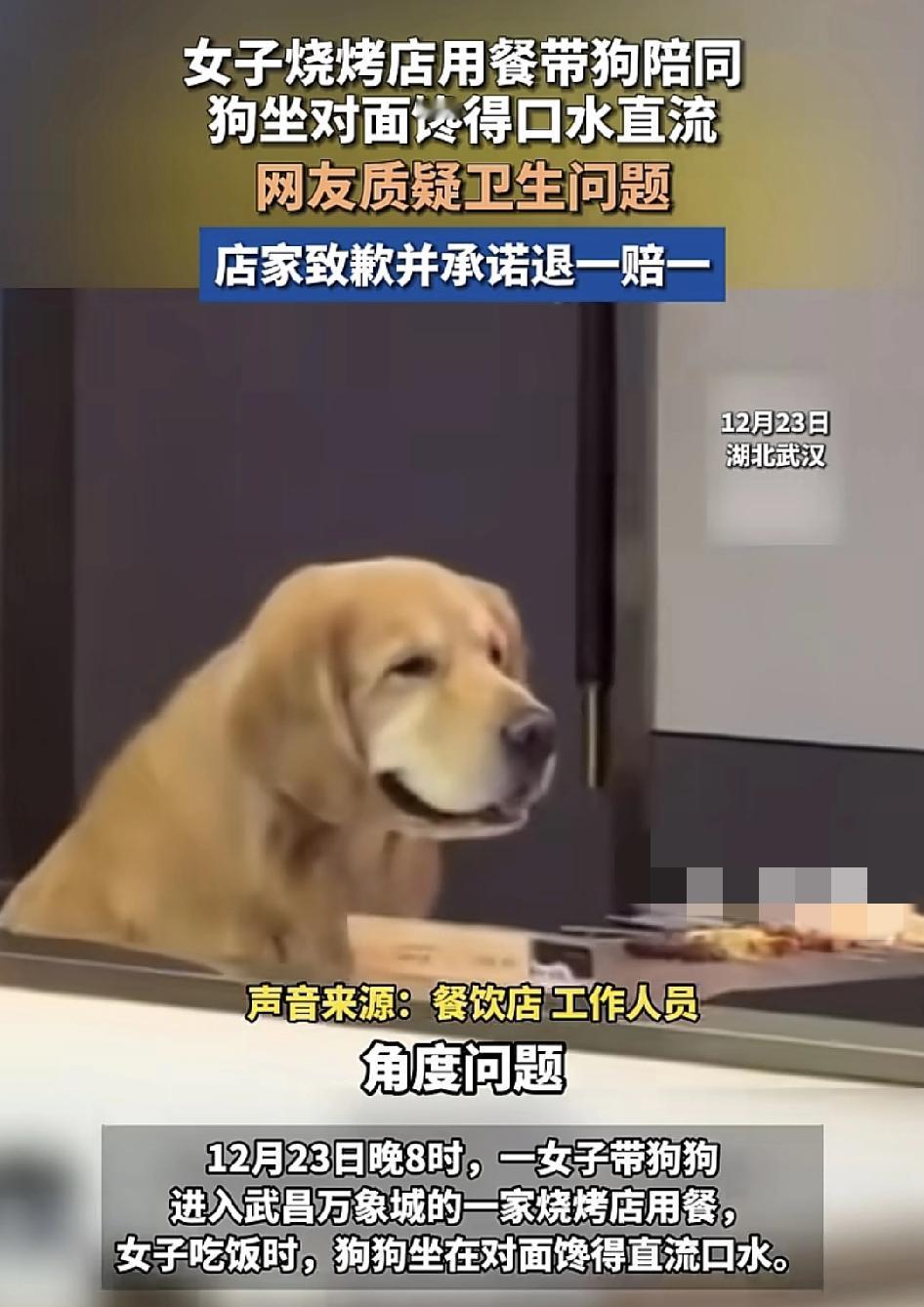 武昌万象城有消费者反映在一家烧烤店，一名女子带着狗狗用餐，因为狗狗全程坐在对面没