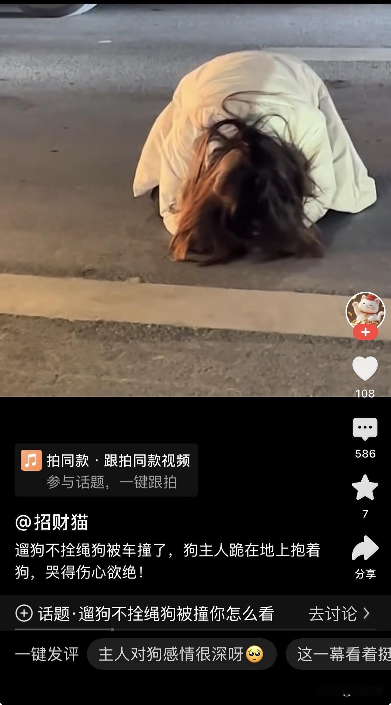 遛狗不拴绳，被撞了跪地痛哭？抱歉，我只想说一句“活该”！

刷到这段视频，画面里