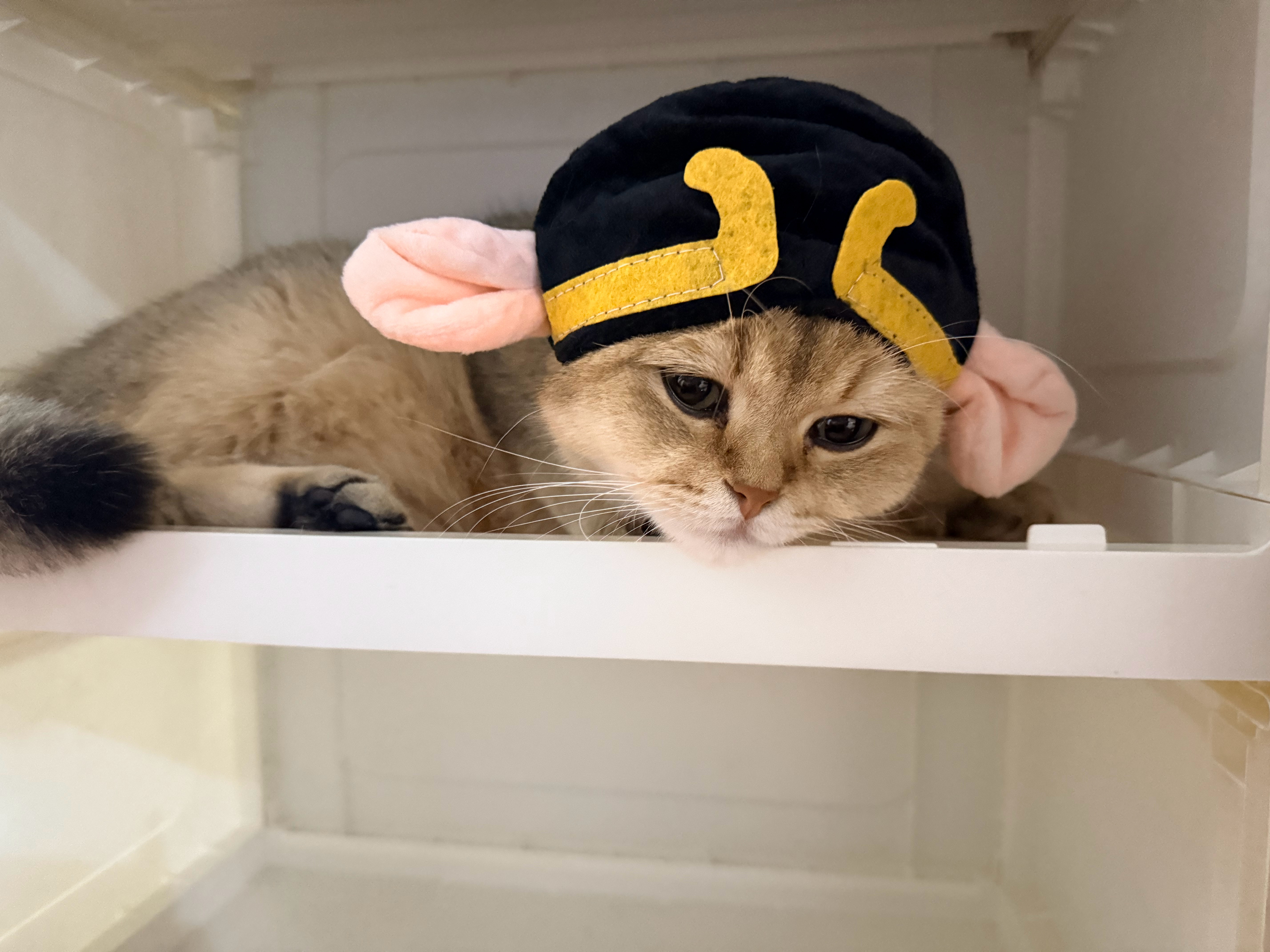 命运戏弄大馋丫头…….. 