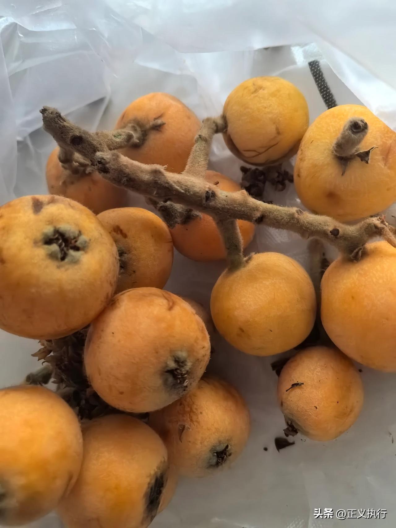 邻居大妈又送来枇杷了，老俩口在院子里栽种了一棵枇杷树，每年这个时候，枇杷熟了，老