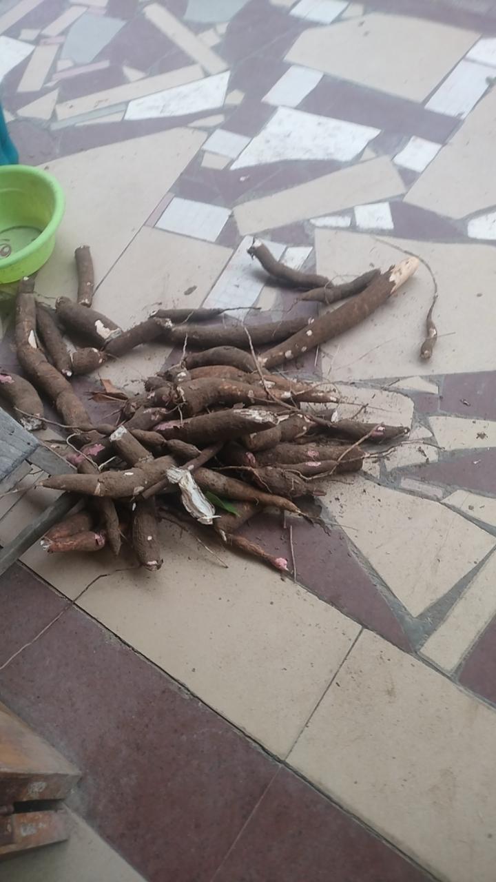 有想吃木暑的吗