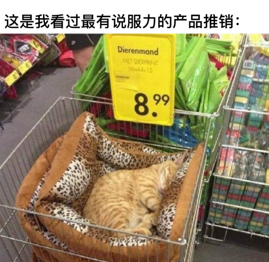 睡得真香啊#今日memes# //#我的幽默搭子# //#定格# ​​​