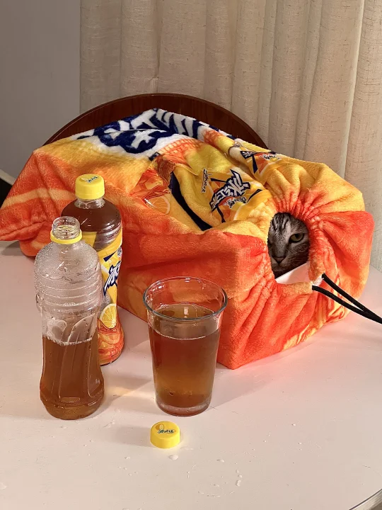 夏天续命水搭上神仙周边，我家主子先享受了