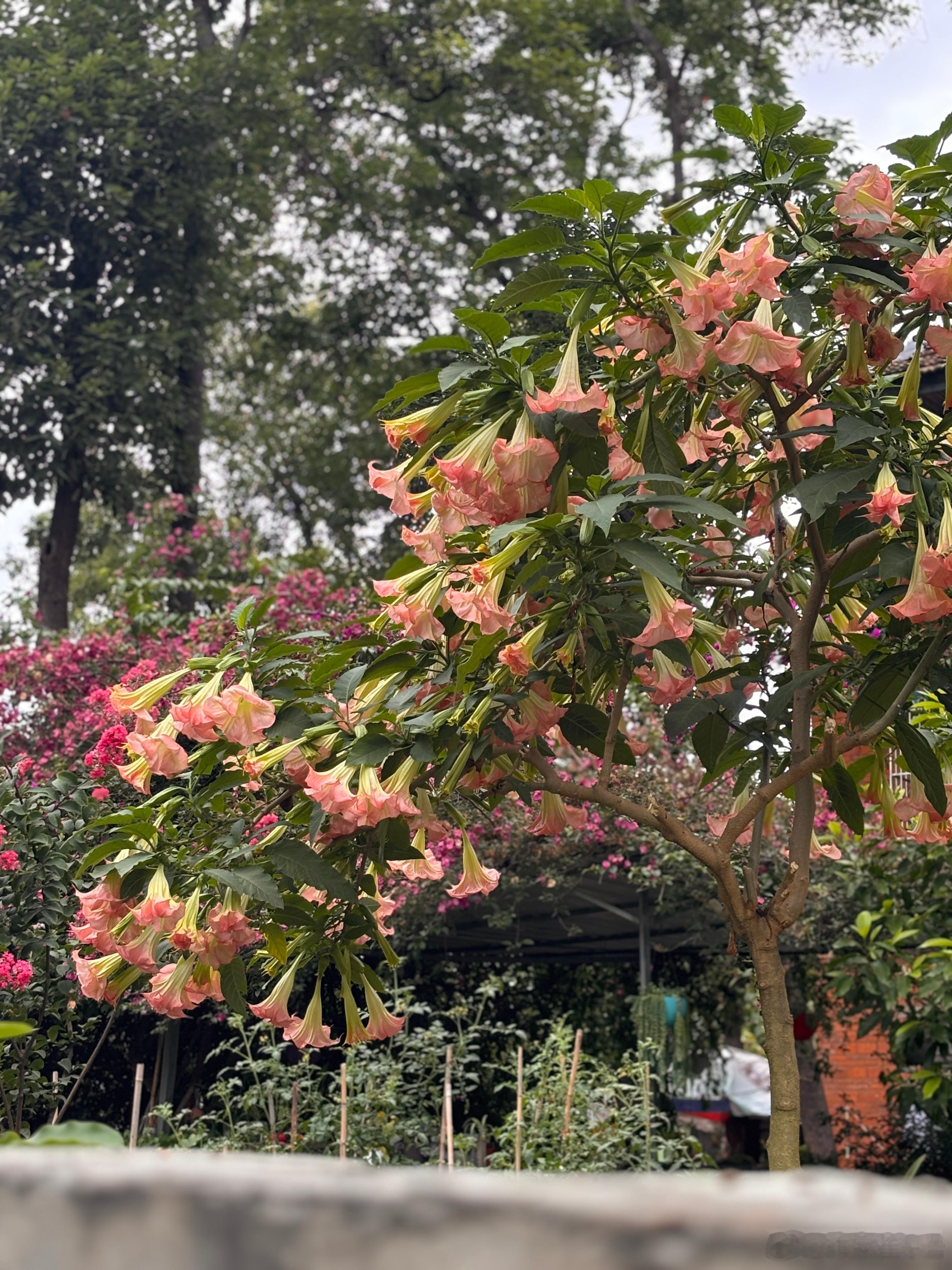 有人问我这半年我都干什么去了，可以负责任的说：我过得非常充实，我用了近100多天