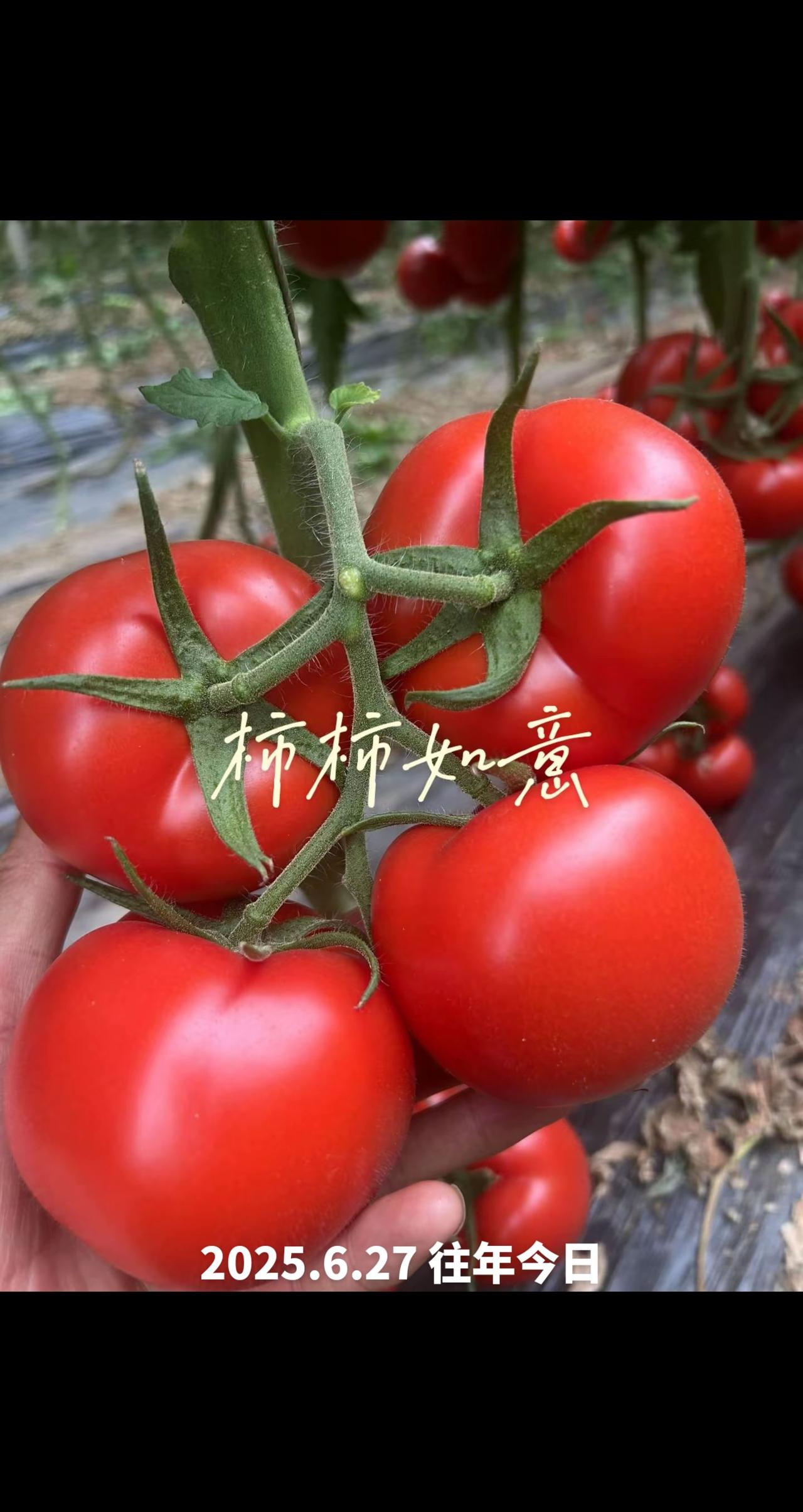 往年今日