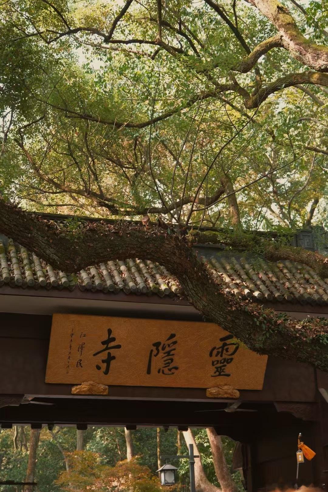2025国考顺利上岸！都给我接！你注定成为公务员！祝即将踏上考场的你考的全会，蒙