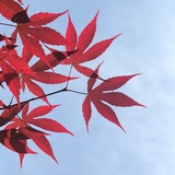 最酥热读科技