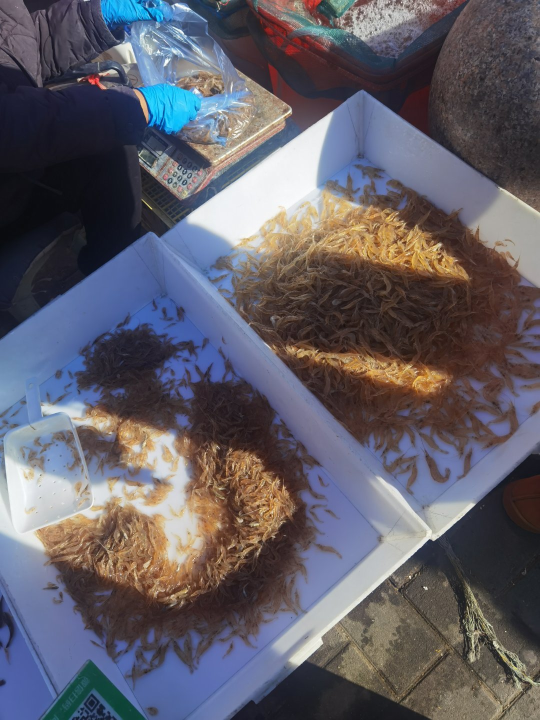 这一上午，和邻居一起赶了个大集，还挺喜欢这种感觉～ 