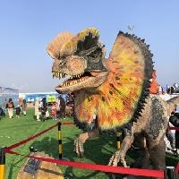 我的今日状态：😁轻松愉快
我这里的天气：☀️晴天