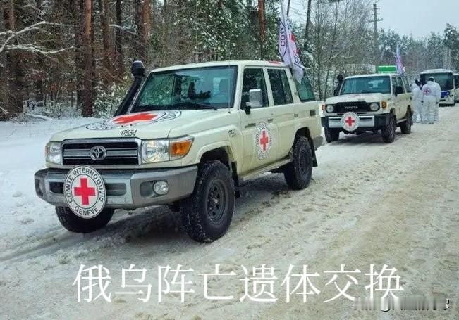 见了棺材也不掉泪？昨天，俄乌完成今年首次阵亡军人遗体交换。俄方移交了1000具乌