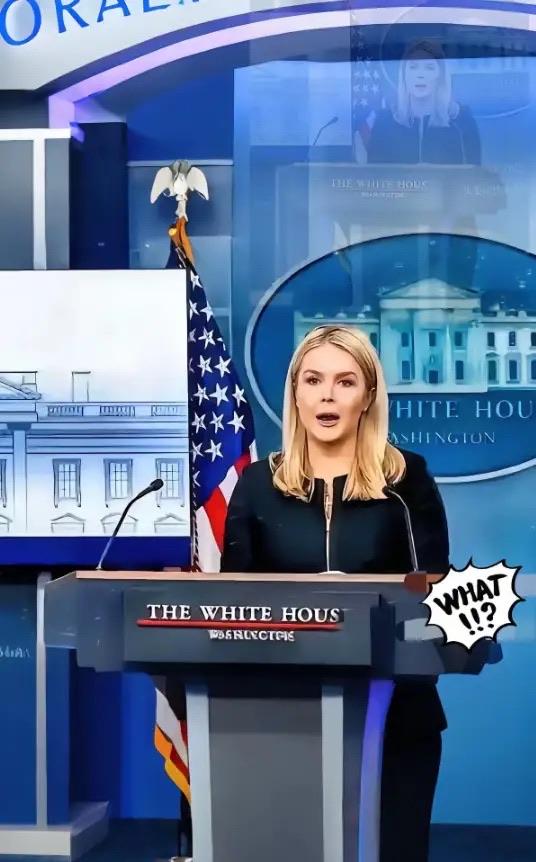 美国被中国再度拒绝了，估计美国官员很沮丧。
“中国不想跟我们合作了，中国想要实现