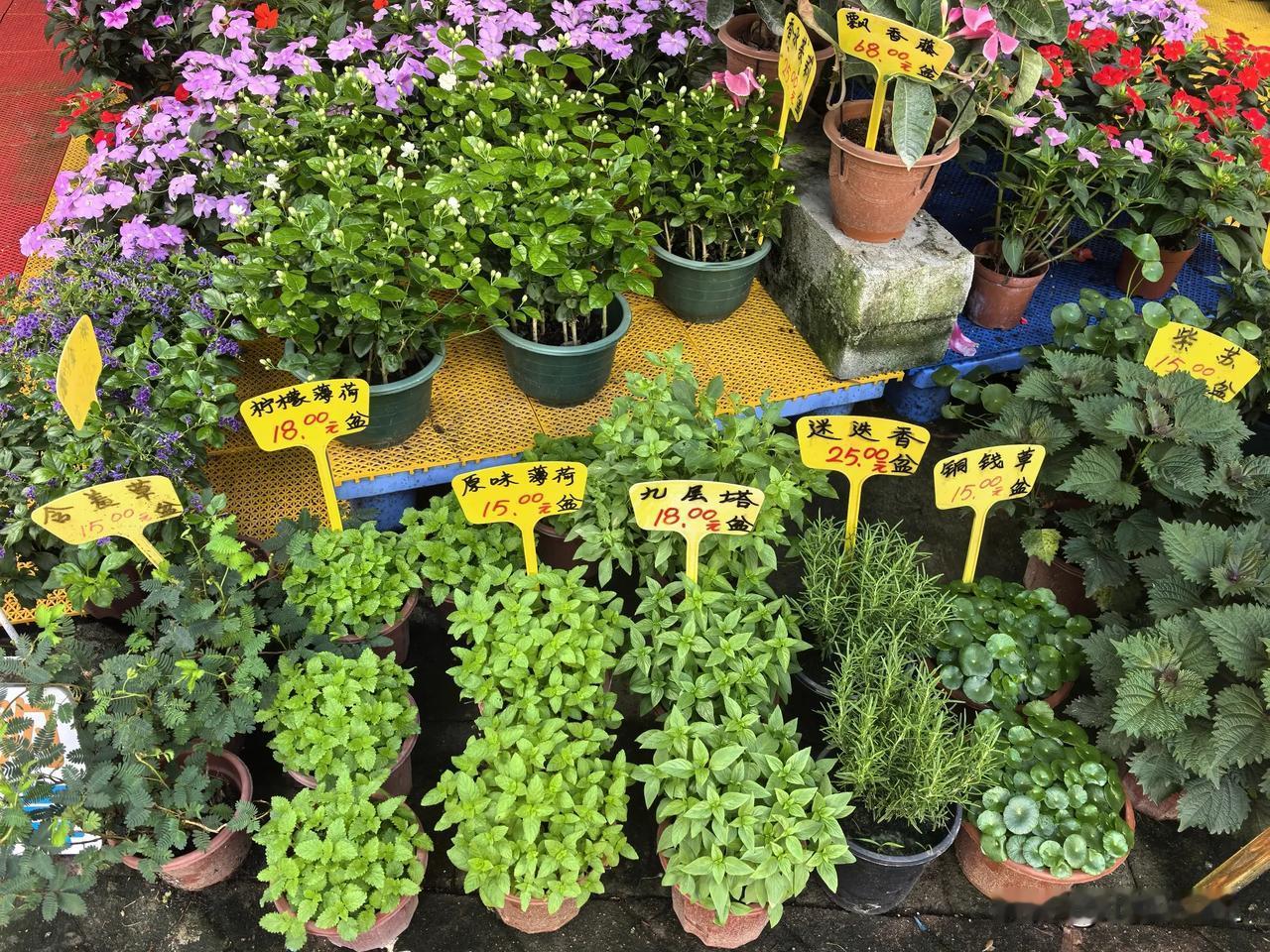 广州的花价
晒图笔记大赛
走过沙园，看到一档自助花店，顺便认识一下花的名称。
看