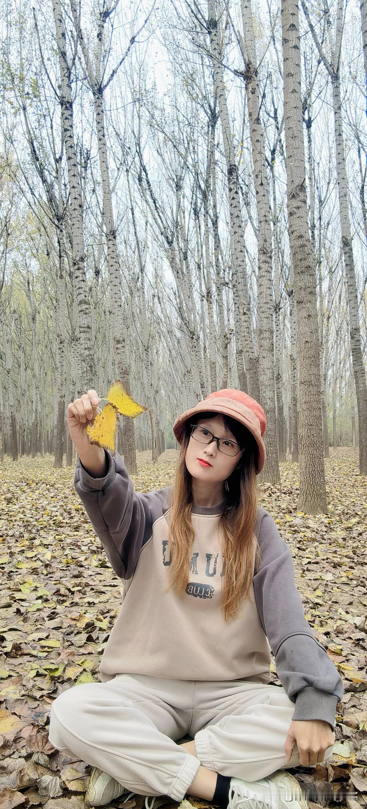 这个周末来这里拍照吧。潍坊北辰湿地的小树林，满地的落叶拍照很美哟。