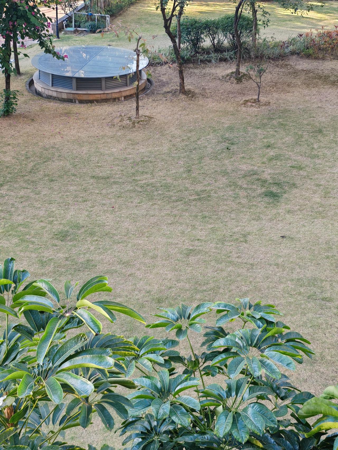 冬日生活打卡季