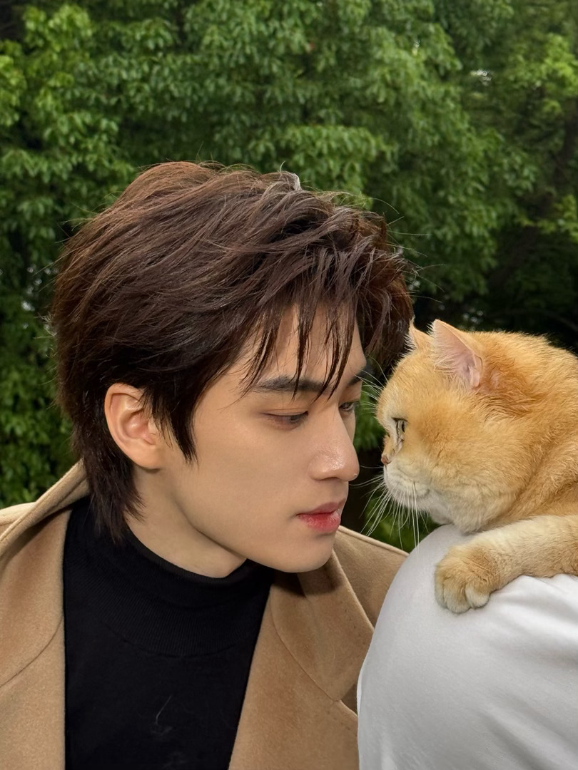 猫生我梦 是不是想亲它。 