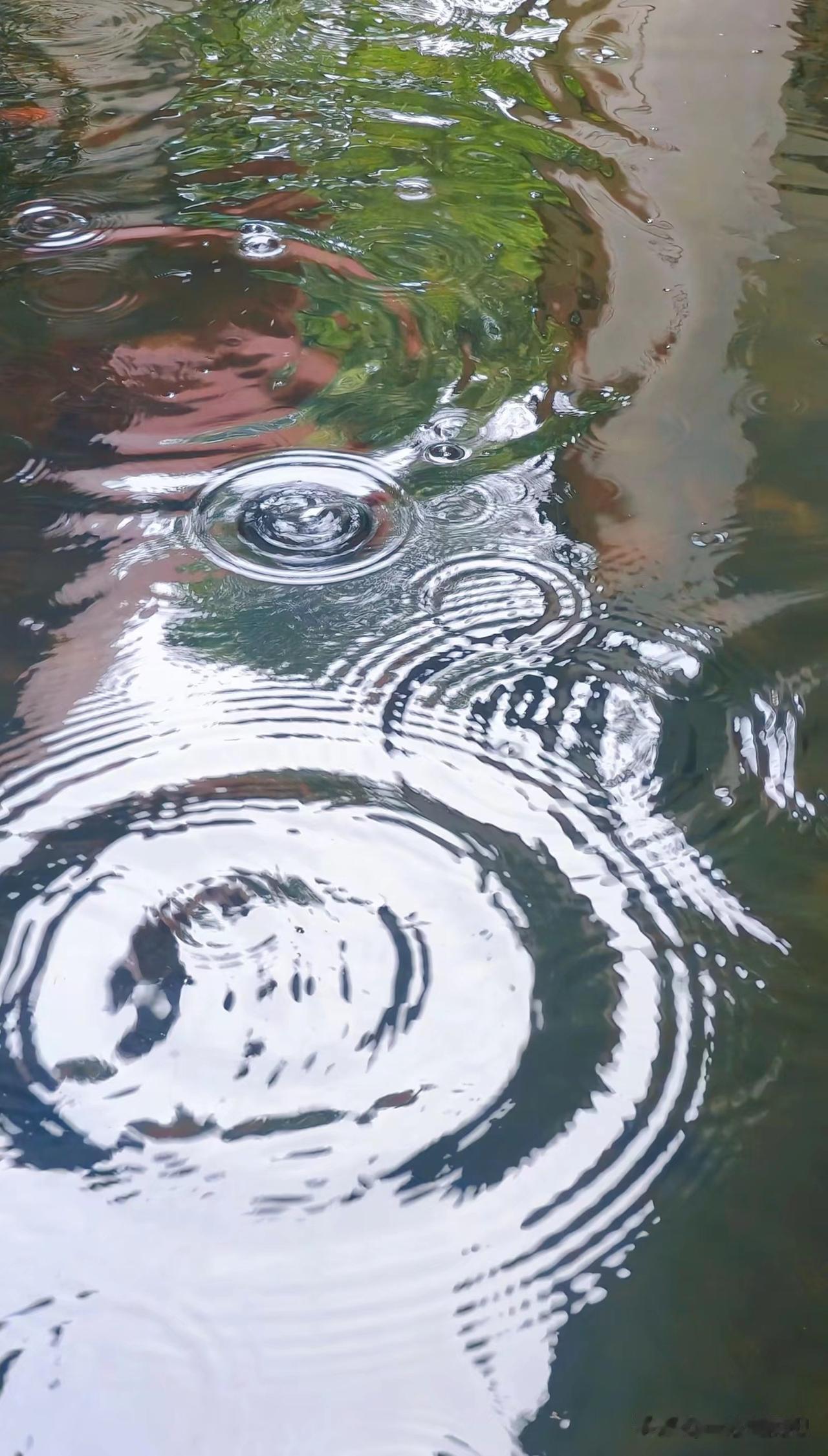 如果说世界上有某种场域超越或者突破了空间与时间的界限，那么排除物质形态的光以外，