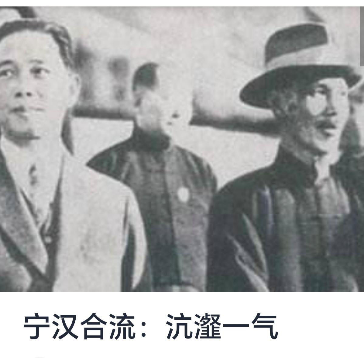 宁汉合流：沆瀣一气的政治联盟与历史变迁

“宁汉合流”，这个词语在中国现代史上具